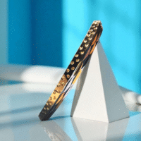 Side view of Regal Echo Kada