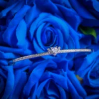 Close up of centerpiece of Celestia Heart CZ Bracelet 925 Silver