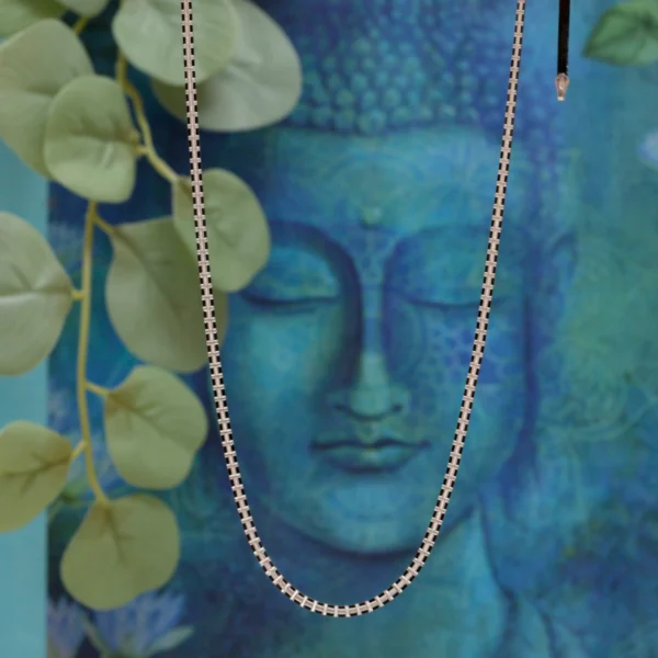 Displaying the chain and lock with the back side of Oxidized Box Link Chain 925 Silver