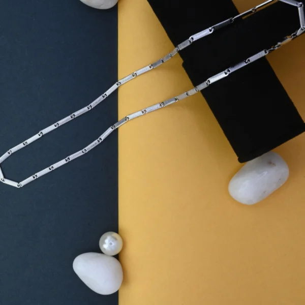 Full length view with locking mechanism display of The Signature S-Link Flat Chain 925 Silver